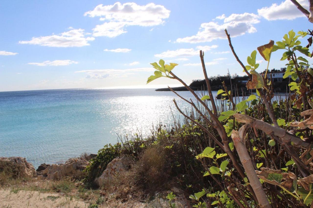 Casa Mita Bed and Breakfast Pulsano Εξωτερικό φωτογραφία