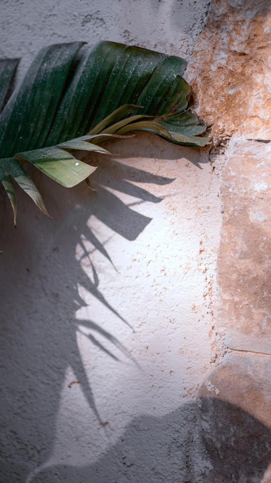 Casa Mita Bed and Breakfast Pulsano Εξωτερικό φωτογραφία